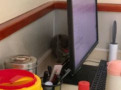 -艾贝尔宠物医院 ·内科全科(梁溪路店)