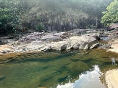 -广州白江湖森林公园