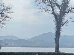 -东钱湖小普陀景区