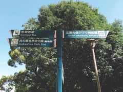 -三鹰之森吉卜力美术馆