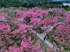 -风云岭森林公园