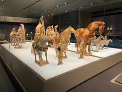 -陕西历史博物馆