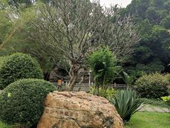 -晓港公园