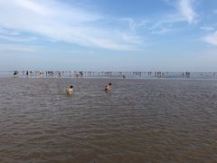 -南汇新城海滩
