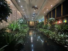 -素可汤泉(天宝大厦店)