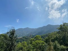 -深圳仙湖植物园