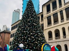 -中环半山扶手电梯