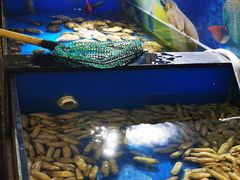 -披云徽府(繁华大道店)