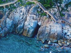 -广东惠东海龟国家级自然保护区