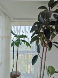 -HEYAN荷妍专业脱毛连锁机构