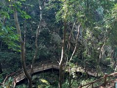 -大岭沟猕猴桃谷风景区