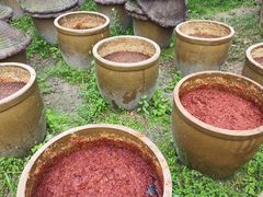 -土灶人家柴火鸡(都江堰店)