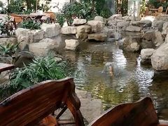 -森谷美食公园(杨行店)