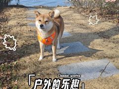-阳澄湖半岛旅游度假区