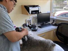 -美联众合动物医院·24h京西诊疗中心
