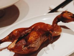 首创昆明BB乳鸭-东富酒家(龙湖西溪天街店)