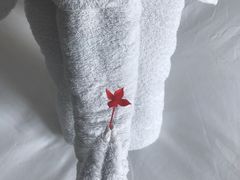 -三亚亚龙湾雅高铂尔曼别墅度假酒店