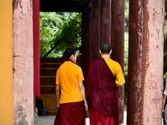 -龙华素斋(龙华路店)