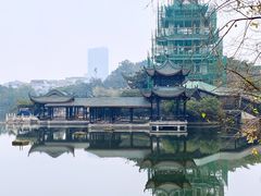 -桂湖森林公园