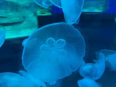 -石林冰雪海洋世界