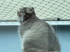 -青藏高原野生动物园