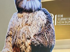 -交通银行前滩31演艺中心