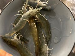 -喜庭海鲜自助(北辰三角洲北辰荟店)