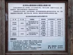-鬼笑石后山停车场