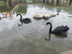 -鄂尔多斯野生动物园