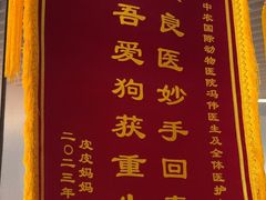 -中农国际动物医院24小时·猫科·骨科·急重症中心