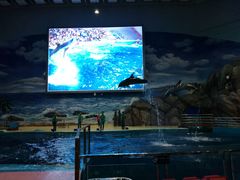 -福州罗源湾海洋世界旅游区