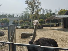 -苏州上方山国家森林公园