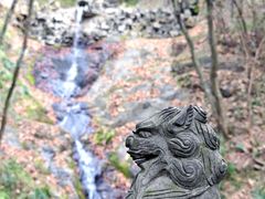 -宁波市保国寺古建筑博物馆