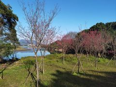 -福建鲤鱼洲酒店