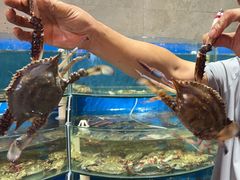 -蓝珊甄选海鲜自助·火锅大排档(近阿那亚店)