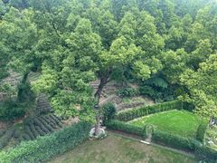 -龙坞茶村
