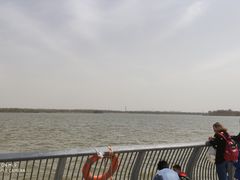 -武清南湖绿博园