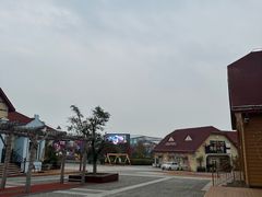 -黄五箱进口网红仓(金沙滩啤酒城店)