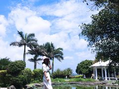 -漳州滨海火山岛自然生态风景区