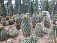 -南山植物园