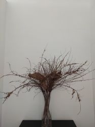 -无界瑜伽普拉提