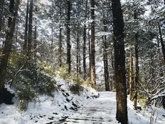 -峨眉山风景名胜区
