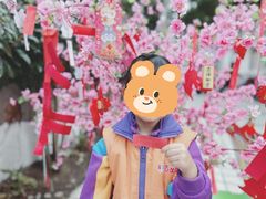 -苏州市姑苏区宝仁幼儿园