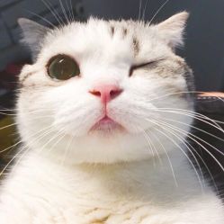 -厦门美莱整形美容医院