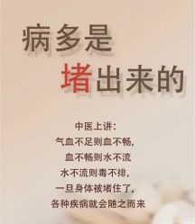 -YESIDO椰岛美容