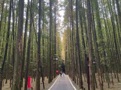 -山王坪喀斯特国家生态公园