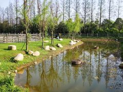 -前小桔亲子创意农场·草莓采摘·露营烧烤