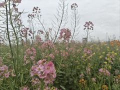 -中国天府农业博览园