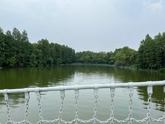 -东湖落雁景区