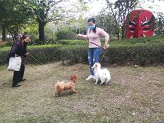 -飞来湖湿地公园